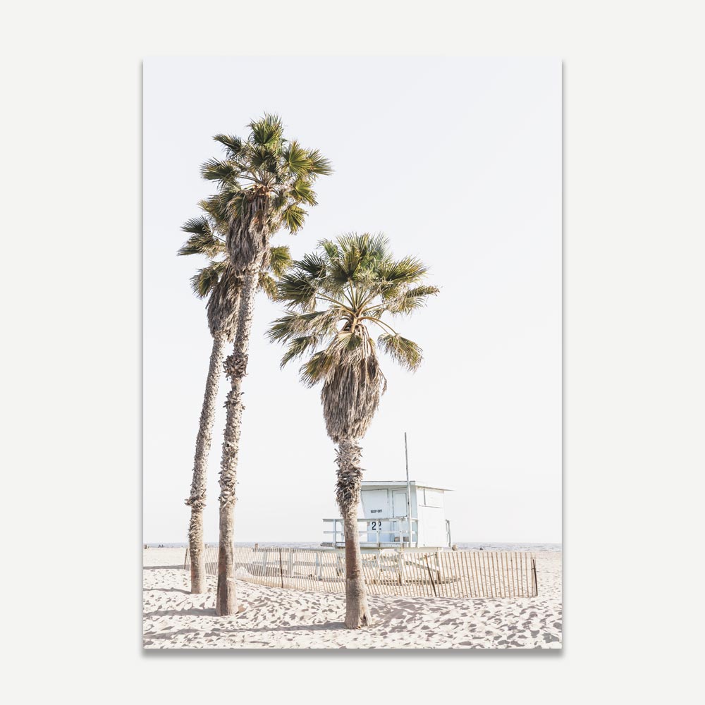Serene Ocean Park Palms Art for Coastal-Inspired Home Decor