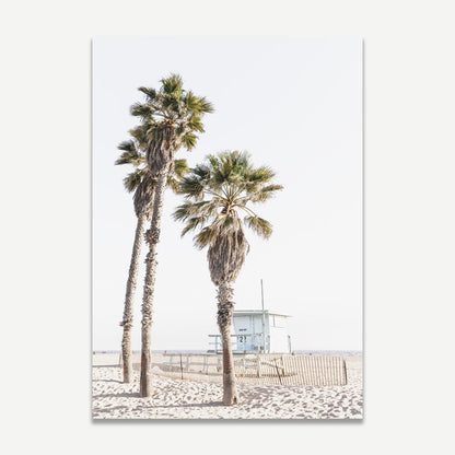 Serene Ocean Park Palms Art for Coastal-Inspired Home Decor
