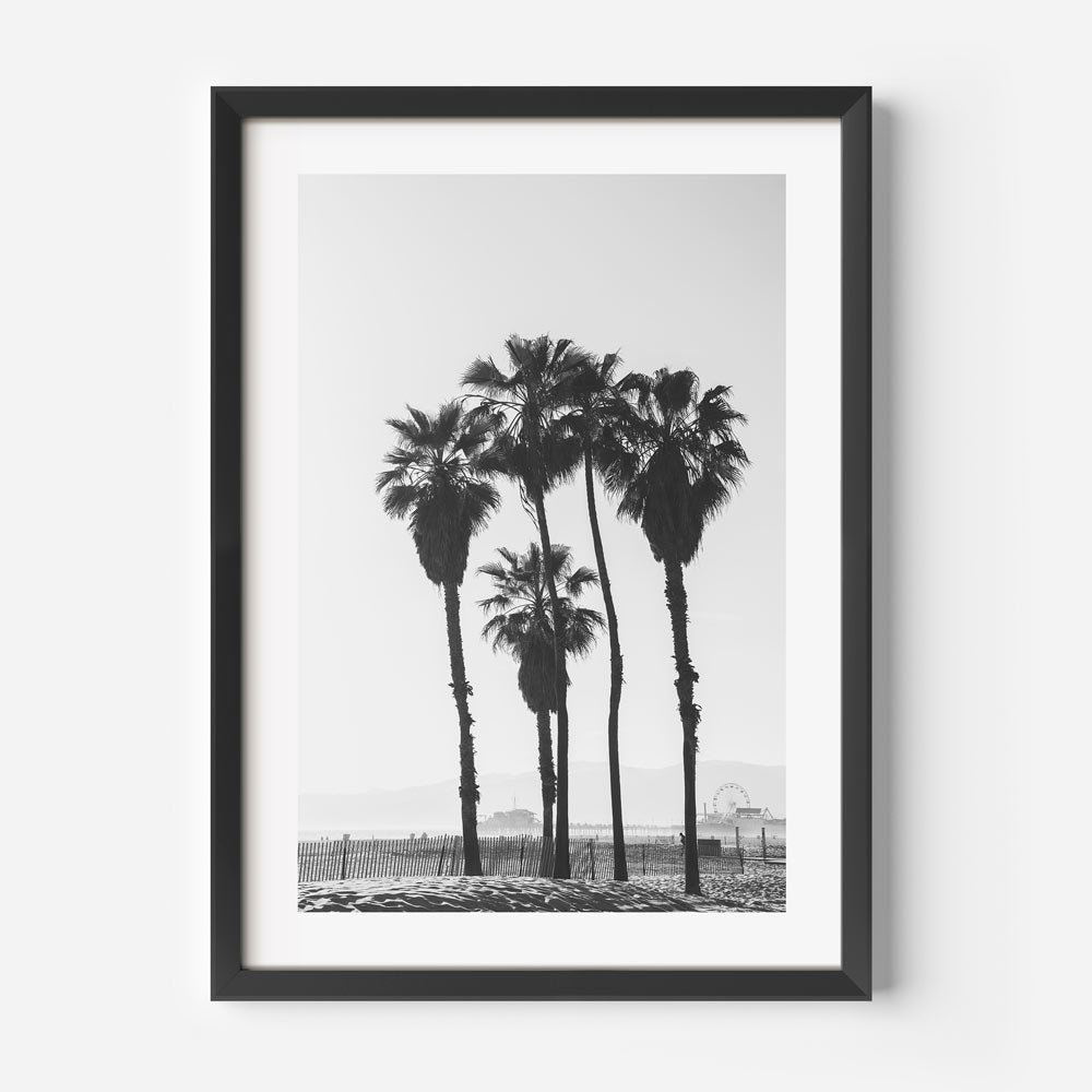 Black and White Palm Trees Ocean View Art Print