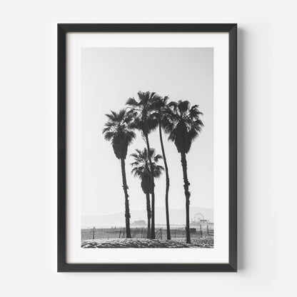 Black and White Palm Trees Ocean View Art Print
