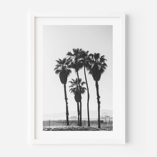 Black and White Palm Trees Ocean View Art Print