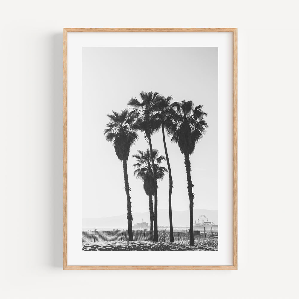 Black and White Palm Trees Ocean View Art Print