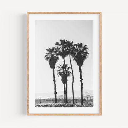 Black and White Palm Trees Ocean View Art Print