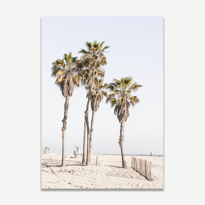 Serene Ocean Park Palms Art for Coastal-Inspired Home Decor