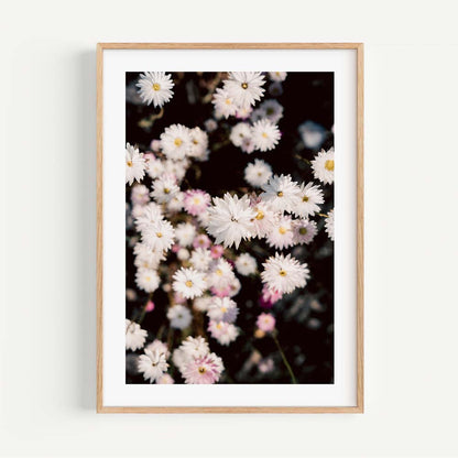 Charming White Daisy Floral Oil Painting for Elegant Home Decor