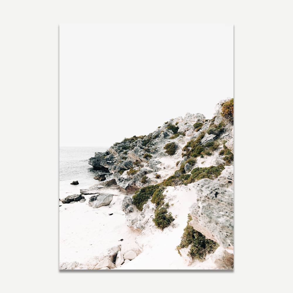 Serene Coastal Cliff with Parakeet Overlooking Tranquil Bay