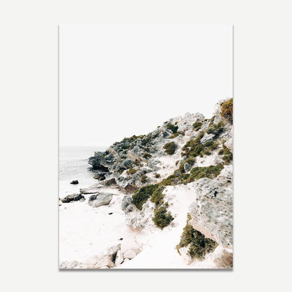 Serene Coastal Cliff with Parakeet Overlooking Tranquil Bay
