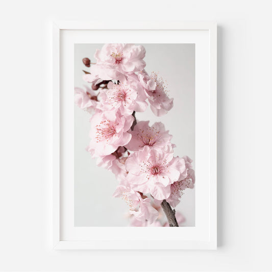 Blossoming Pink Cherry Flowers - Elegant Oil Painting for Home Decor