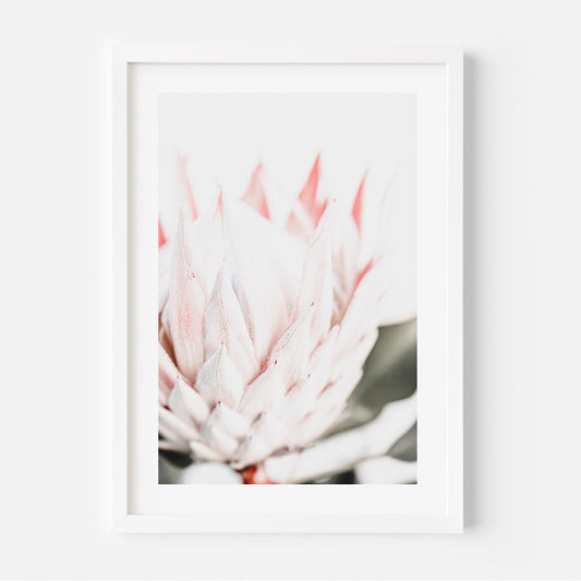 Elegant Queen Protea Oil Painting - Vibrant Floral Wall Art for Modern Decor