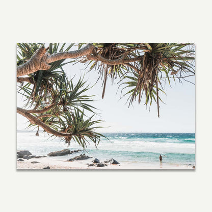 Tranquil Coastal Scene with Tropical Trees and Serene Ocean Waves