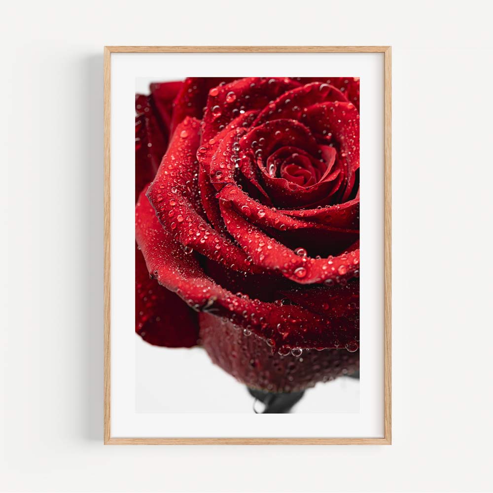 Vibrant Red Rose with Dew Drops - Stunning Floral Oil Painting for Home Decor