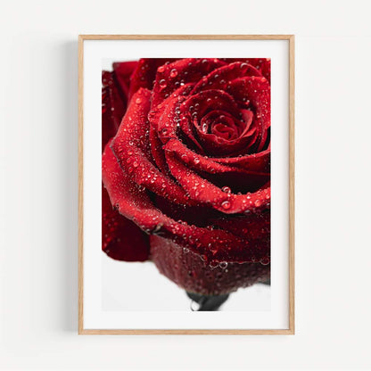 Vibrant Red Rose with Dew Drops - Stunning Floral Oil Painting for Home Decor