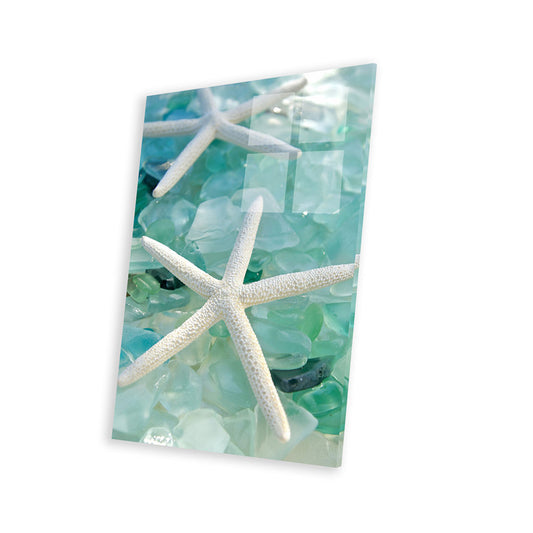 Tranquil Seaglass Shoreline Art with Starfish on Acrylic Display