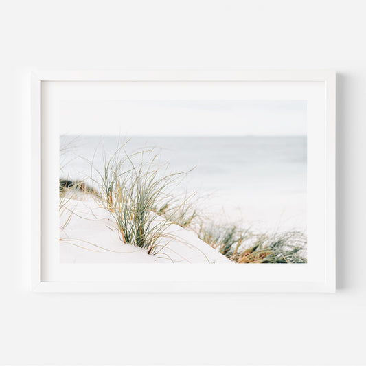 Coastal Serenity: Original Oil Painting of Sea Grass by Tranquil Shoreline