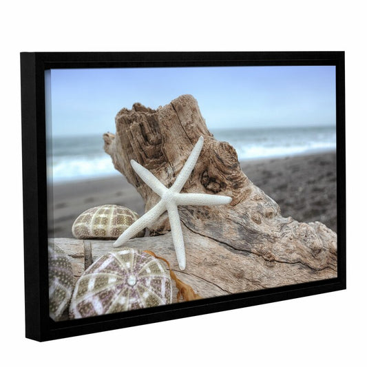 Coastal Serenity: Shells and Driftwood on a Tranquil Beach