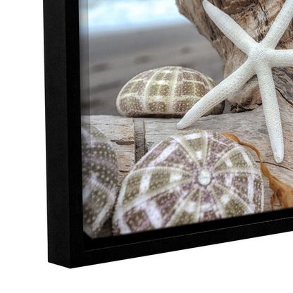 Coastal Serenity: Shells and Driftwood on a Tranquil Beach