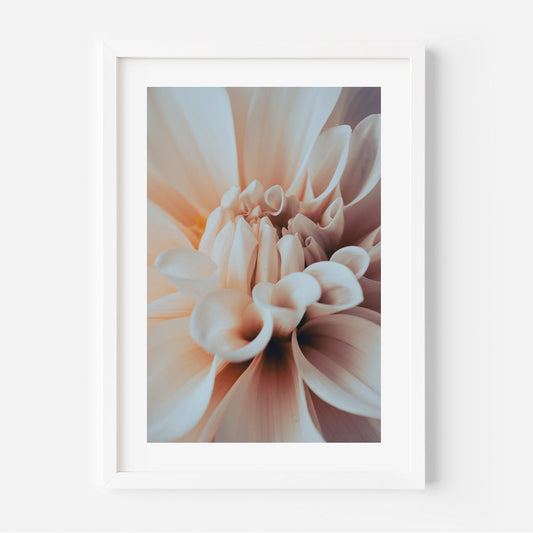 Elegant Dahlia Oil Painting - Serene Floral Wall Art for Home Decor