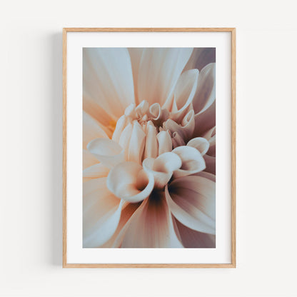 Elegant Dahlia Oil Painting - Serene Floral Wall Art for Home Decor