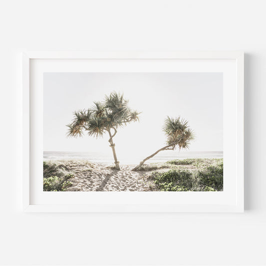 Tranquil Sunrise Over Gold Coast Beach with Tropical Palm Trees