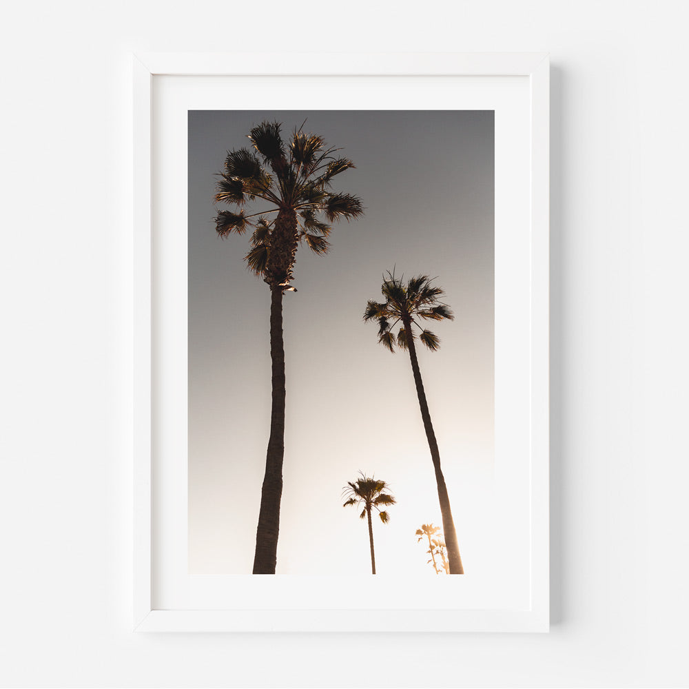 Sunset Palm Trees and Bicycle Wall Art for Coastal Home Decor