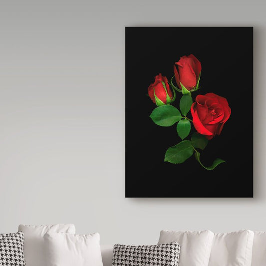 Elegant Red Roses Oil Painting | Floral Art for Home Decor