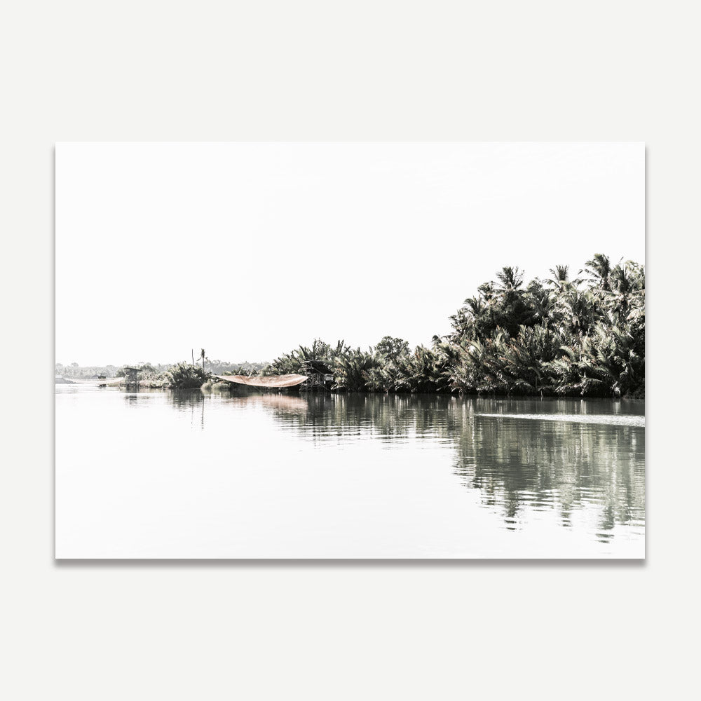Tranquil Riverbank Landscape with Lush Palm Trees and Serene Waters