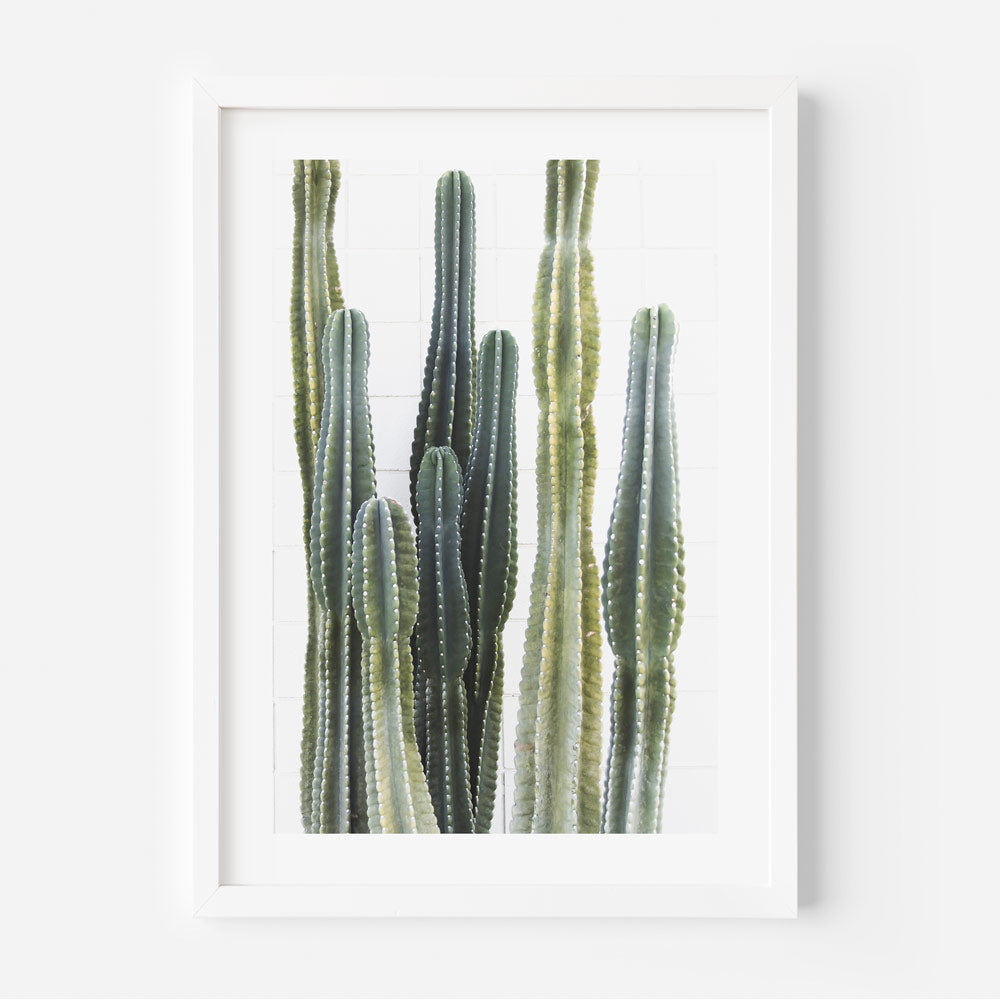 Stunning Torch Cactus Oil Painting for Modern Home Decor