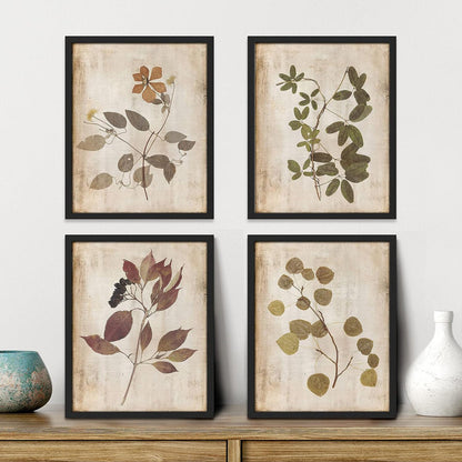 Framed Autumn Wildflower Wall Art Set - Botanical Nature Prints for Home Decor
