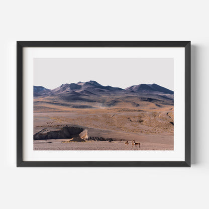 Stunning Vicuñas in Serene Mountain Landscape Oil Painting for Nature Lovers