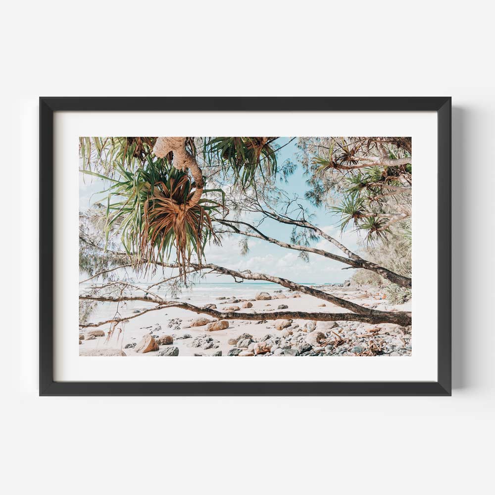 Serene Beachscape: Coastal Oil Painting of Wategos Beach and Whispering Trees