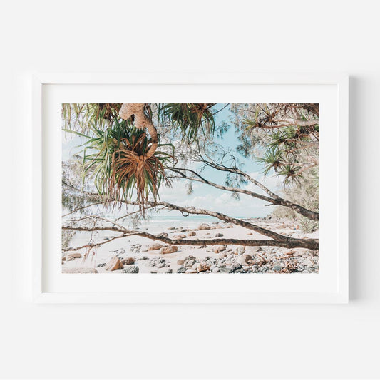 Serene Beachscape: Coastal Oil Painting of Wategos Beach and Whispering Trees
