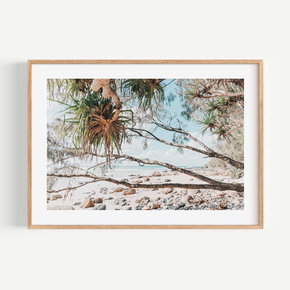 Serene Beachscape: Coastal Oil Painting of Wategos Beach and Whispering Trees