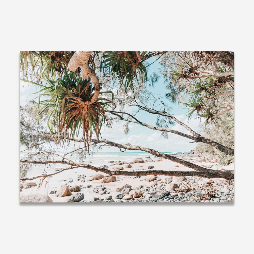 Serene Beachscape: Coastal Oil Painting of Wategos Beach and Whispering Trees
