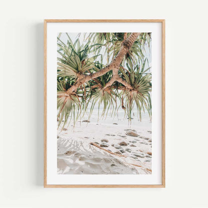Coastal Serenity: Pristine Beach and Pandanus Oil Painting