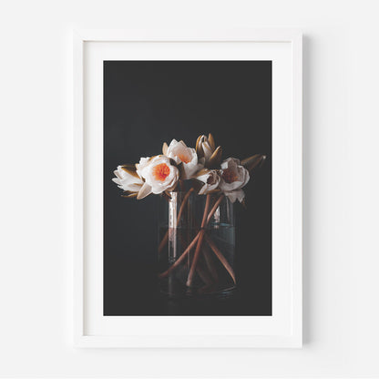 Elegant Trio of Oil Paintings: Water Lilies Blossom Collection