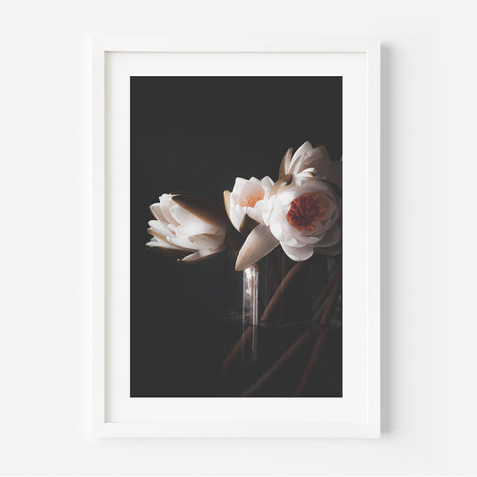 Elegant White Water Lilies Oil Painting for Home or Office Decor