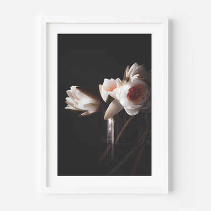Elegant Trio of Oil Paintings: Water Lilies Blossom Collection