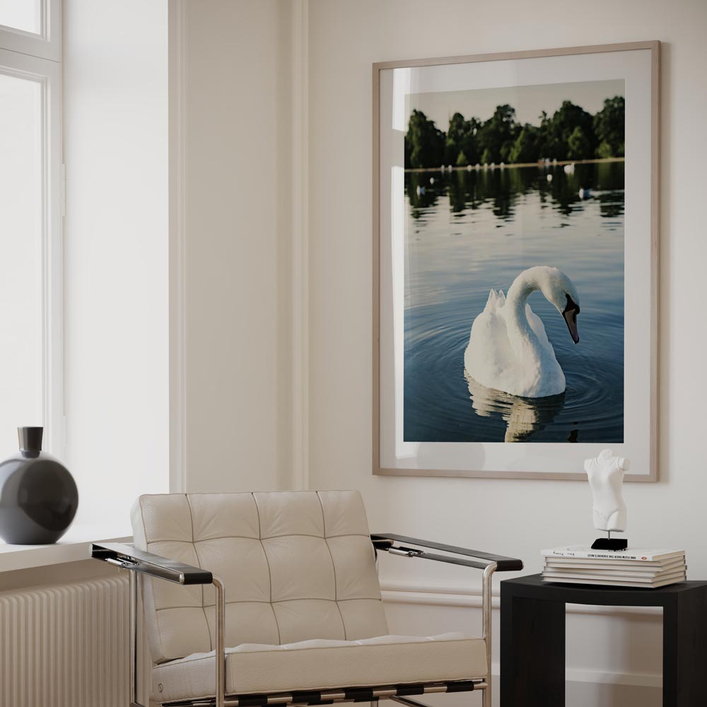 Serene White Swan Swimming in Tranquil Waters - Elegant Oil Painting for Home Decor