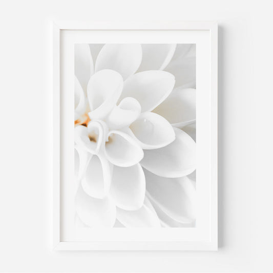 Elegant White Dahlia Oil Painting for Home Décor and Floral Art Enthusiasts