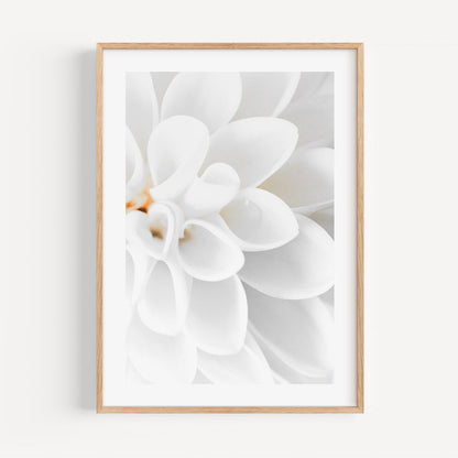 Elegant White Dahlia Oil Painting for Home Décor and Floral Art Enthusiasts