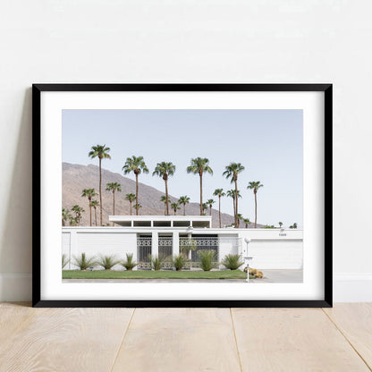 Palm Oasis: Modern White House with Mountain Backdrop Oil Painting