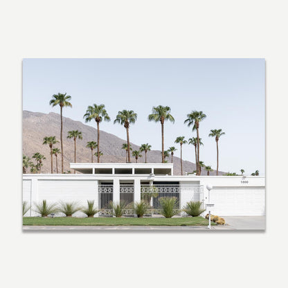 Palm Oasis: Modern White House with Mountain Backdrop Oil Painting