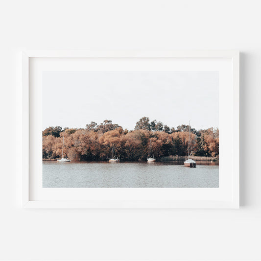 Tranquil Yarralumla Landscape: Serene Water and Sailboats in Autumn Colors