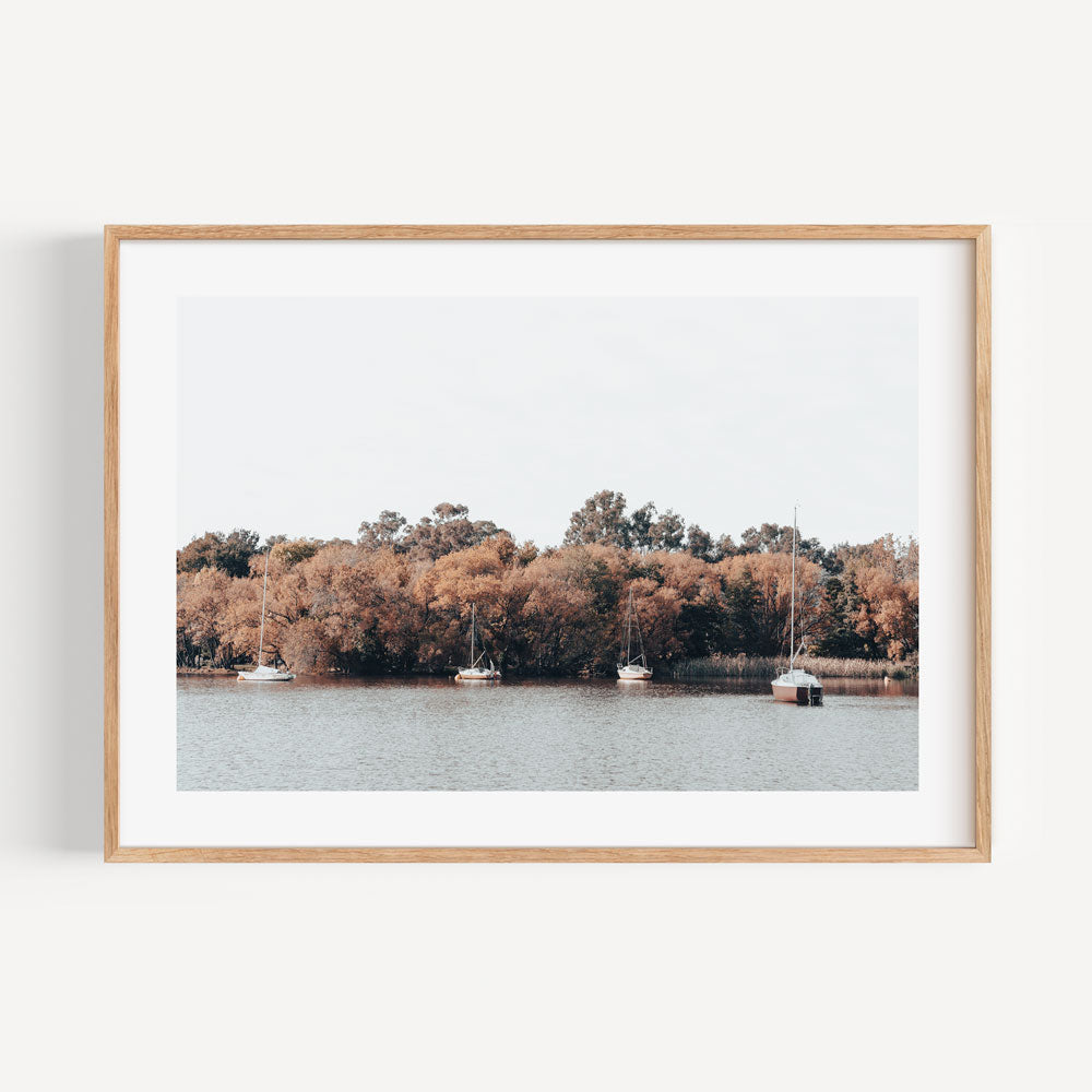 Tranquil Yarralumla Landscape: Serene Water and Sailboats in Autumn Colors
