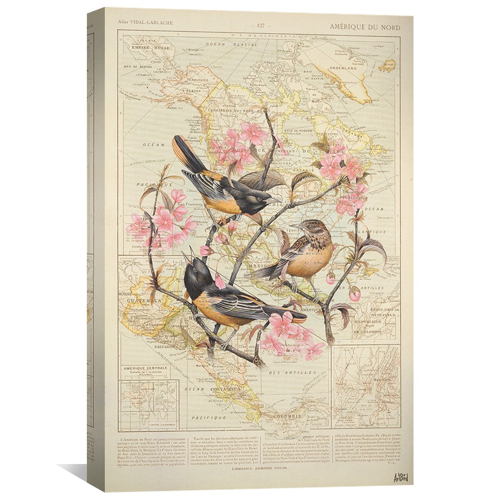 Vibrant Baltimore Oriole Oil Painting with Floral Accents for Home Decor