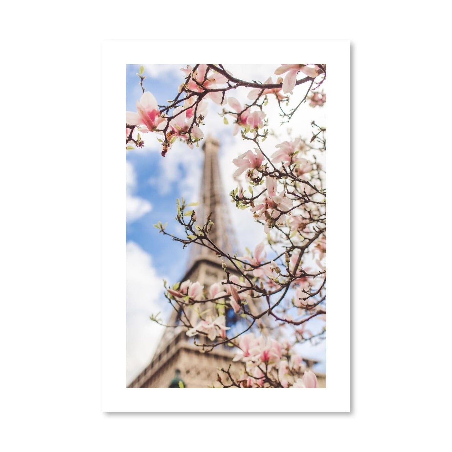 Spring Blossoms in Paris: Beautiful Floral Oil Painting of the Eiffel Tower