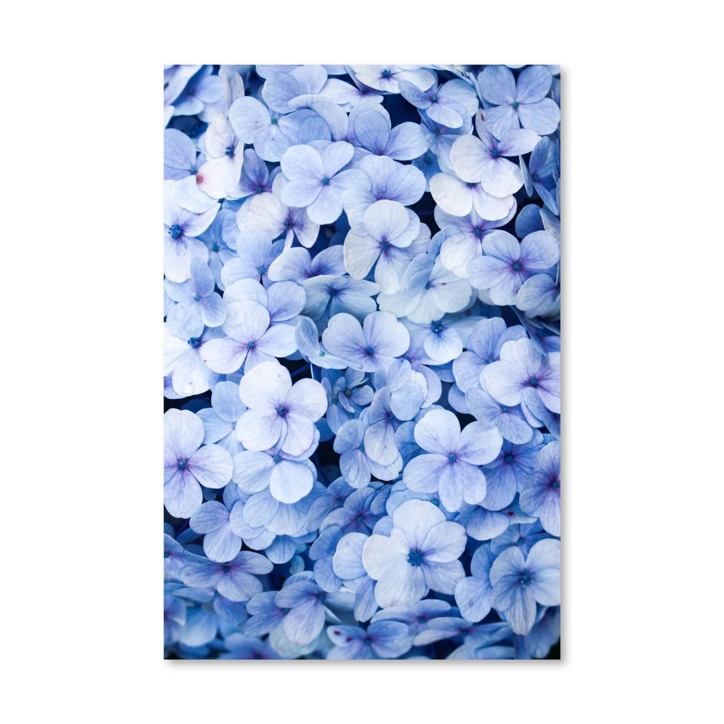 Serene Blue Floral Canvas Art for Tranquil Home Decor