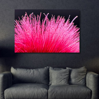 Vibrant Bottlebrush Flower Oil Painting - Colorful Floral Wall Art Decor