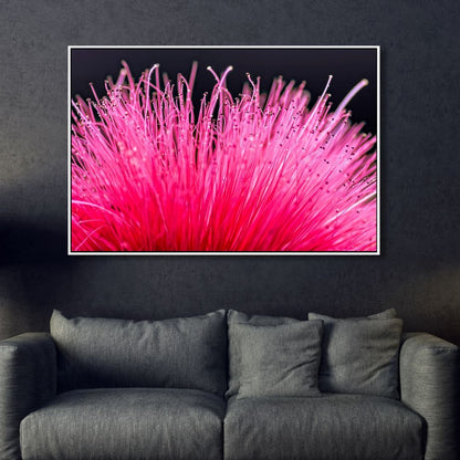Vibrant Bottlebrush Flower Oil Painting - Colorful Floral Wall Art Decor