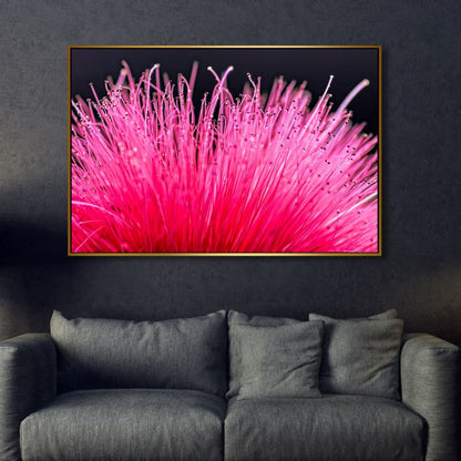 Vibrant Bottlebrush Flower Oil Painting - Colorful Floral Wall Art Decor